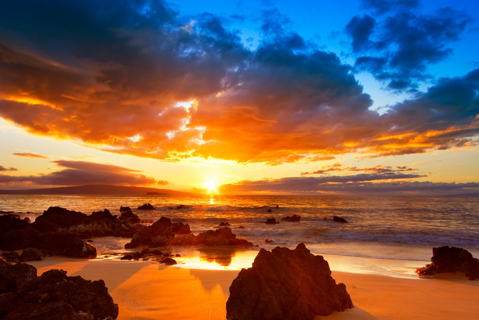 Waikiki.com  11