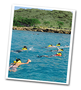 Book Waikiki and Hawaii Tours &  Activities Online