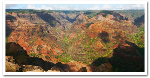 Kauai One Day Tour Garden Isle