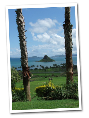 Zipline Adventure Tour Kualoa Oahu