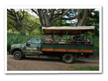 Zipline Adventure Tour Kualoa Oahu