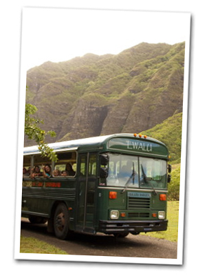 Zipline Adventure Tour Kualoa Oahu