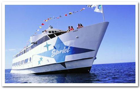 Book Waikiki and Hawaii Tours &  Activities Online