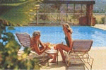 Island Colony