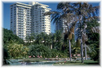 Waikiki Terrace
