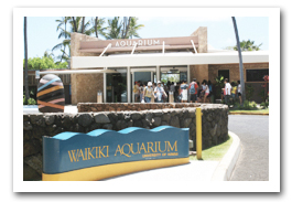 Waikiki Aquarium