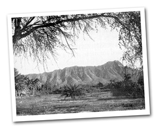 Honolulu Zoo - Diamond Head