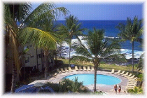 Kona Reef