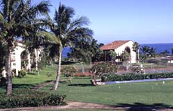 Maui Hill