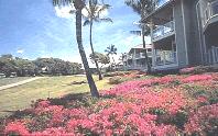 Wailea Grand Champions