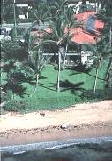 Kihei Beachfront Resort